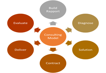 consulting-model