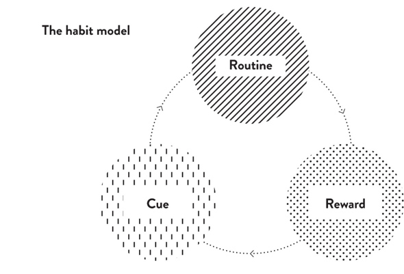 the habit model